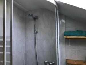 a shower with a glass door in a bathroom at Pension Stepponat in Arnstadt +12 photos