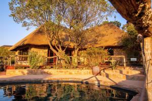 athatched house with a pool of water in front of it at Lalibela Game Reserve Mark's Camp in Paterson