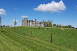 um castelo no topo de um campo relvado com vacas em Bartholomew's Loft em Ráistín