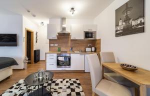 Kuchyňa alebo kuchynka v ubytovaní Aviatik apartments