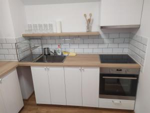 Kuchyň nebo kuchyňský kout v ubytování Apartmán Poštolka