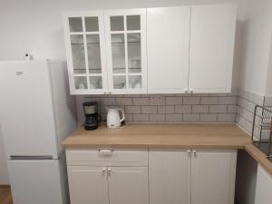 Kuchyň nebo kuchyňský kout v ubytování Apartmán Poštolka