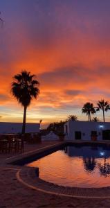 a sunset over a swimming pool with a palm tree at Cortijo Boutique Marbella in Marbella