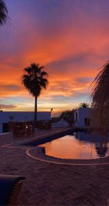 a sunset with a palm tree and a swimming pool at Cortijo Boutique Marbella in Marbella