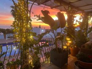 a balcony with a lot of plants and lights at Cortijo Boutique Marbella in Marbella