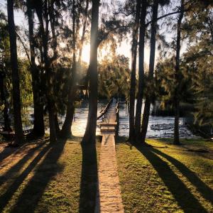 a path in a park with the sun shining through trees at Muelle Amorcito in Tigre