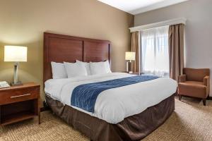 a hotel room with a large bed and a chair at Comfort Inn Downtown - University Area in Kalamazoo