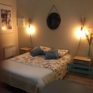 1 dormitorio con 1 cama con 2 almohadas en Chambre dans dépendance Maison de Ville + abri vélos en Saumur