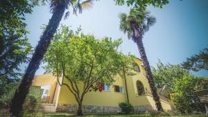 Vonkajšia záhrada v ubytovaní Apartment Brijuni