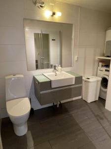 Ein Badezimmer in der Unterkunft Daltind - Modern apartment with free parking