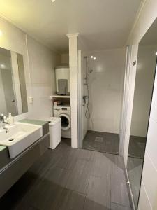 Um banheiro em Daltind - Modern apartment with free parking