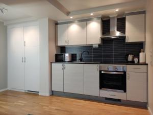 Kuchyň nebo kuchyňský kout v ubytování Daltind - Modern apartment with free parking