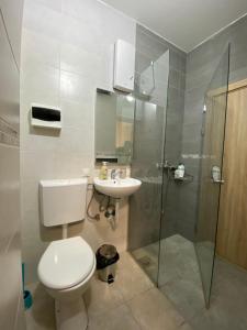 ein Bad mit einem WC, einem Waschbecken und einer Dusche in der Unterkunft R&K Hostel in Skopje