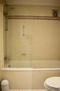 een badkamer met een bad en een toilet bij Modern and stylish apartment by Grand Canal in Dublin