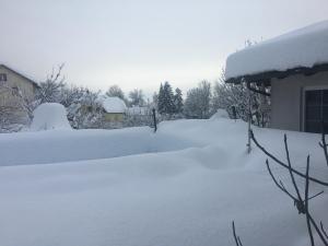 Ferienwohnung Lebenslust Frauen Gasser v zimě