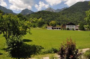 a large green field with a house in the mountains at Ferienwohnung Andrea in Schleching