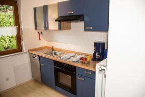 eine kleine Küche mit blauen Schränken und einer Spüle in der Unterkunft Haus Bott in Hilders