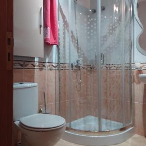 a bathroom with a toilet and a shower at Rinconcito de Diana in Vecindario