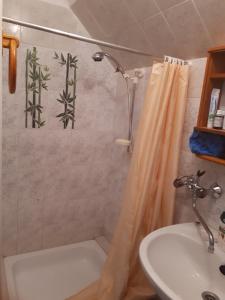 a bathroom with a shower curtain and a sink at Ferienhaus Schlothauer 1 in Tiszacsege +13 photos