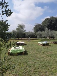 Jardí fora de Pace, Luminosità e Comodità a due passi dal Garda