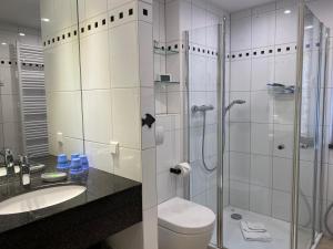 ein Bad mit einer Dusche, einem WC und einem Waschbecken in der Unterkunft Schloonseevillen - FeWo 13 in Bansin