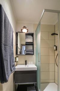 a bathroom with a sink and a shower and a mirror at Hof Ehrenfels in Mainz