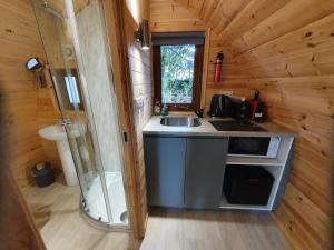 una cucina con lavandino e doccia in una cabina di Priory Glamping Pods and Guest accommodation a Killarney