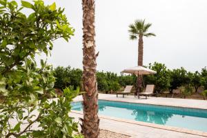 una piscina con 2 palmeras, 2 sillas y una sombrilla en Apartamento en Villa Monsalva, en Monte San Miguel