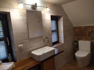 a bathroom with a sink and a toilet at Forest Romantic Apartment Brdy in Věšín