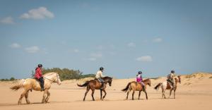 a group of people riding horses on the beach at Maputaland Guest House in St Lucia