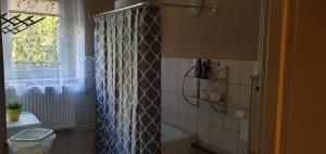a bathroom with a shower curtain and a toilet at Apartament u Ani in Przeczyce