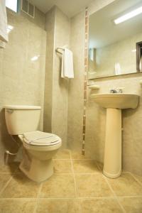 La salle de bains est pourvue de toilettes et d'un lavabo. dans l'établissement HOTEL AMERICANA PASTO, à Pasto