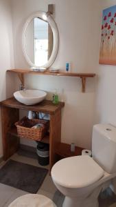 a bathroom with a toilet and a sink and a mirror at Bienvenue pour vous détendre in Parbayse