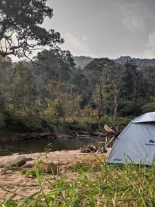 マディケーリにあるCoorg River Rock Campingのギャラリーの写真