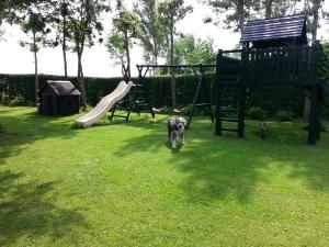柯德科克的住宿－Vakantieoord "de Peppelhoeve"，一只狗站在带游乐场的院子中