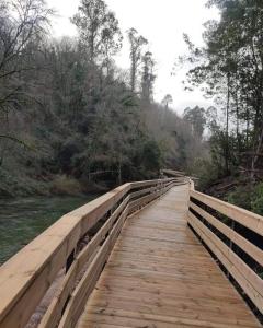 a wooden bridge over a river with trees at Casa Morgado in Braga