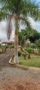 Κήπος έξω από το Pousada Chácara Família H