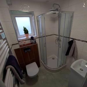 a bathroom with a shower and a toilet and a sink at APARTAMENT PRZY RONDZIE in Kłodzko