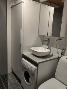 uma casa de banho com um lavatório e uma máquina de lavar roupa em Ski Studio Levi em Levi