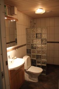 a bathroom with a toilet and a sink at Flahult Holiday Home in Hok