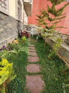 einen Garten mit einem Steinweg vor einem Gebäude in der Unterkunft House Viola in Imsouane