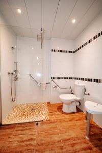 uma casa de banho com um WC e um chuveiro em Hôtel Le Tivoli em Vic-en-Bigorre