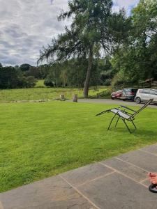 a park bench sitting in a field of grass at 3 Bedroom Barn Conversion -Garden View - Ty Cerrig Barn in Corwen