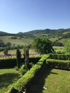 Foto dalla galleria di Tuscan home in the heart of Chianti a Greve in Chianti