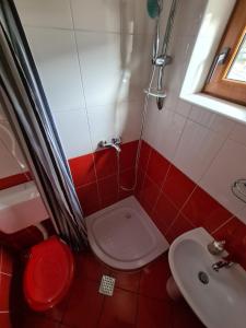 La petite salle de bains est pourvue de toilettes et d'un lavabo. dans l'établissement Casa David, à Sinaia