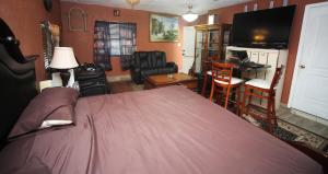 a bedroom with a large bed and a television at Beautiful large bedroom in Orlando