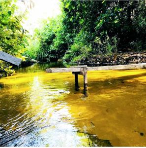 eine Holzbank, die mitten in einem Fluss sitzt in der Unterkunft RECANTO DO SABIÁ in Carolina