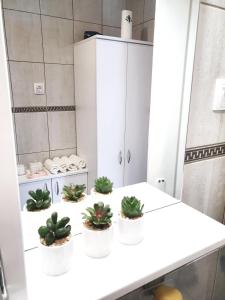 a bathroom with four potted plants on a counter at Top Secret in Arandjelovac