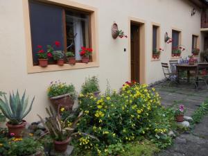 a garden in front of a house with flowers at Casa Lia in Sighişoara