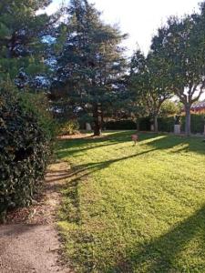 un champ d'herbe planté d'arbres dans un parc dans l'établissement Chez Ulysse, à La Londe-les-Maures